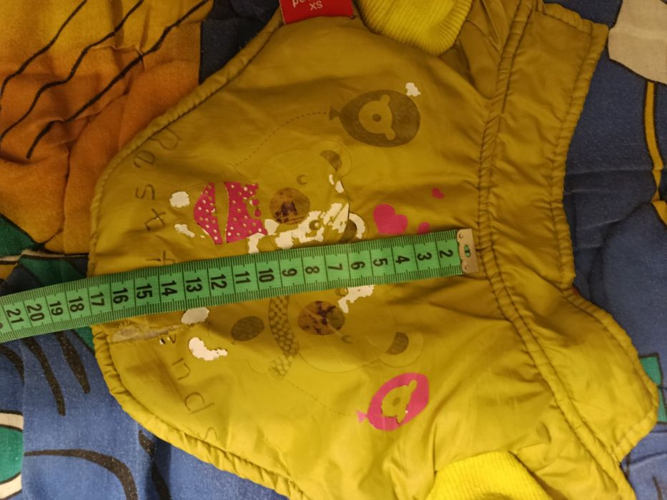 Одяг для маленьких песиків