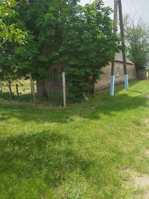 Земля (с Домом в подарок) Собственник, обмен на Бус