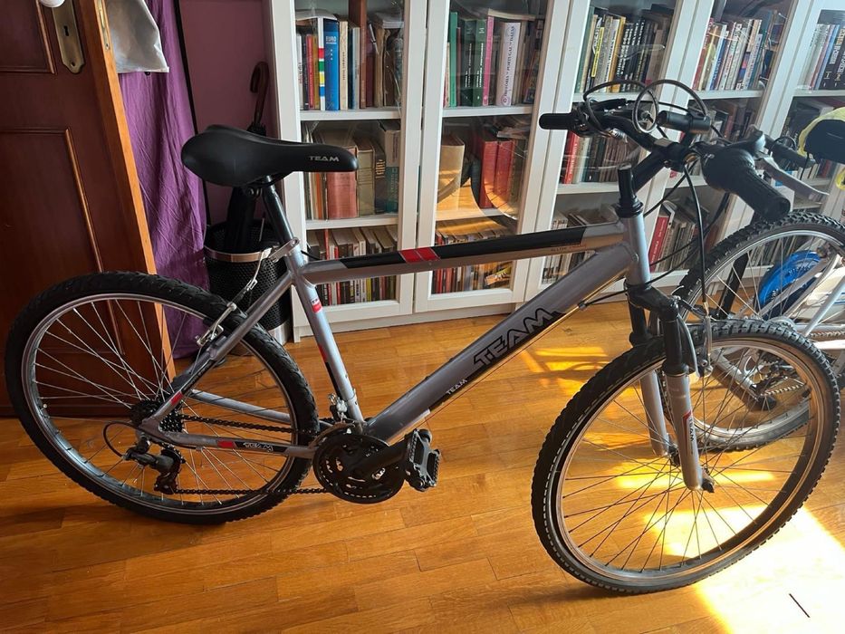 Bicicleta Team Branca