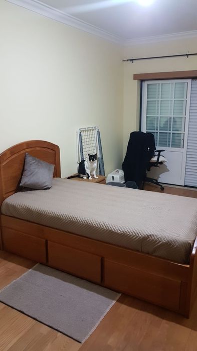 Novo preço!! Cama solteiro + Colchão Madeira de qualidade !!!