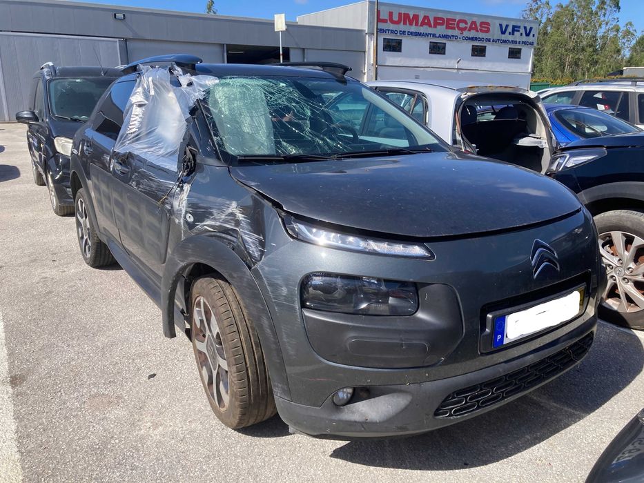 C4  CACTUS 2017 Gasoleo