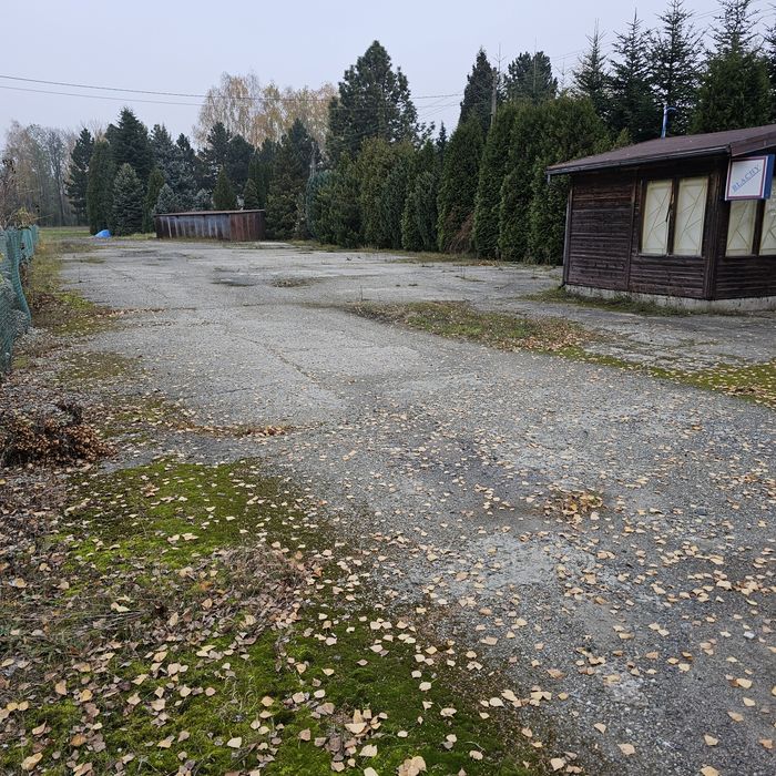 Teren inwestycyjny 1.1 ha, lub 2.2 ha - More