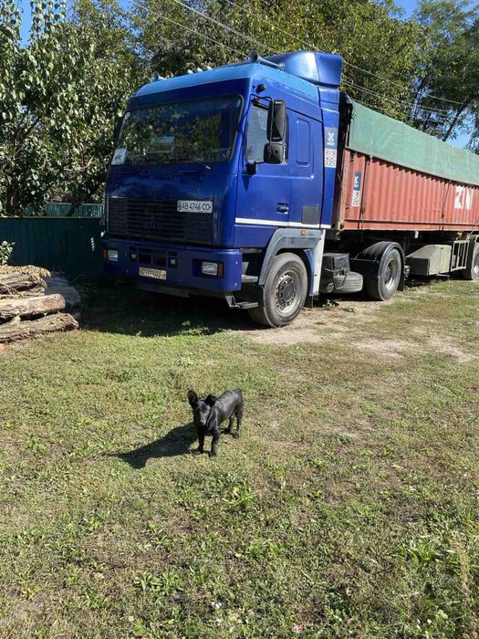 МАЗ 544008 2007року в ідеальному стані