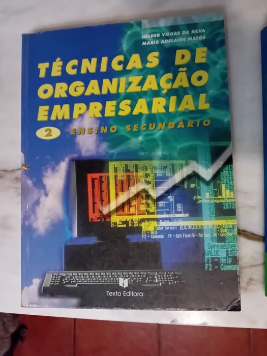 Técnicas de Organização Empresarial