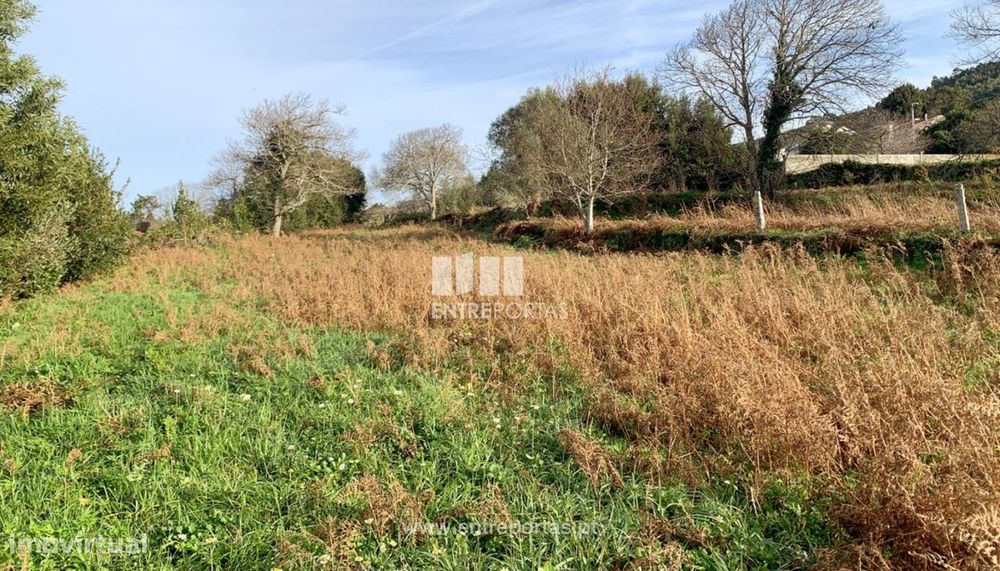 Terreno com vista mar para venda, Moledo, Caminha