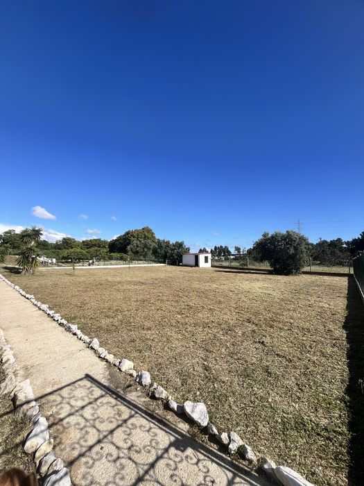 Limpeza e manutenção de terrenos Cuidamos do seu espaço verde