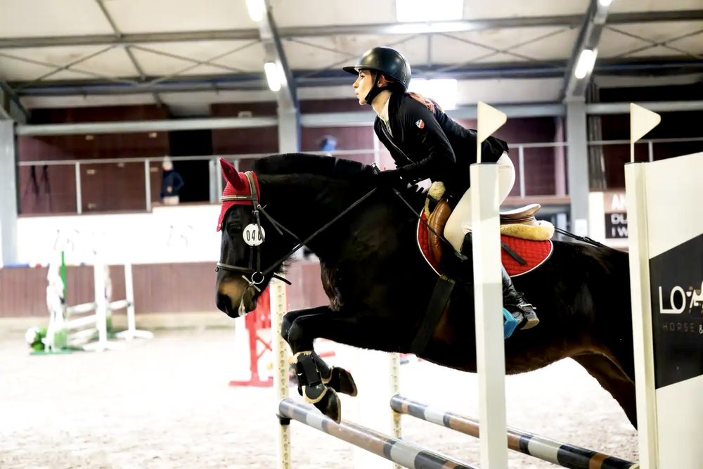 Sprzedam urodziwą klacz huculska