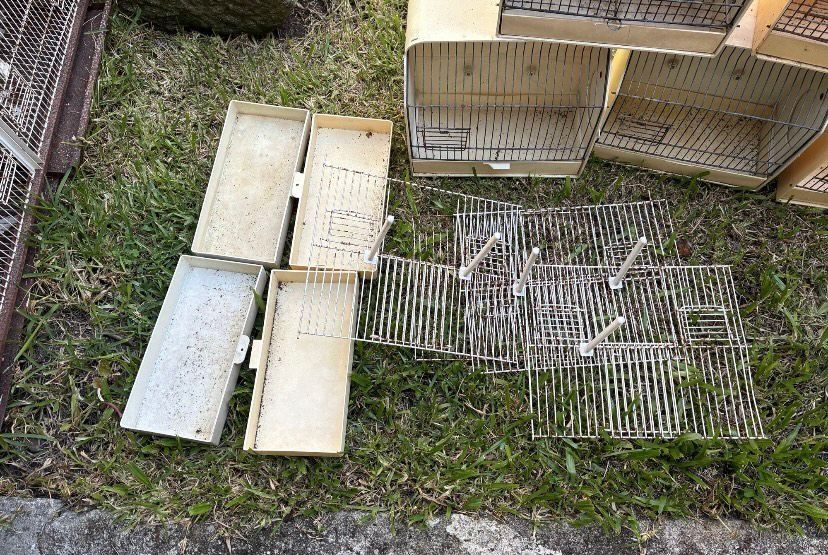 Doze Gaiolas De Exposição Para Pássaro