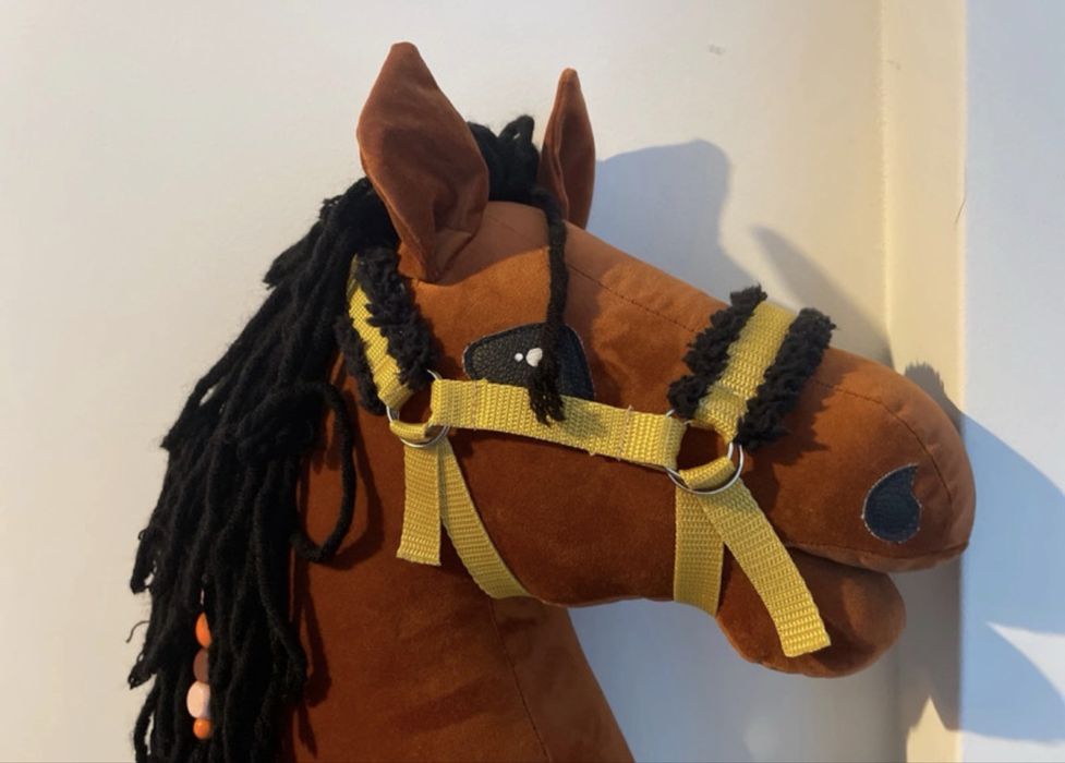 Hobby horse KonieNaKiju A3 + akcesoria