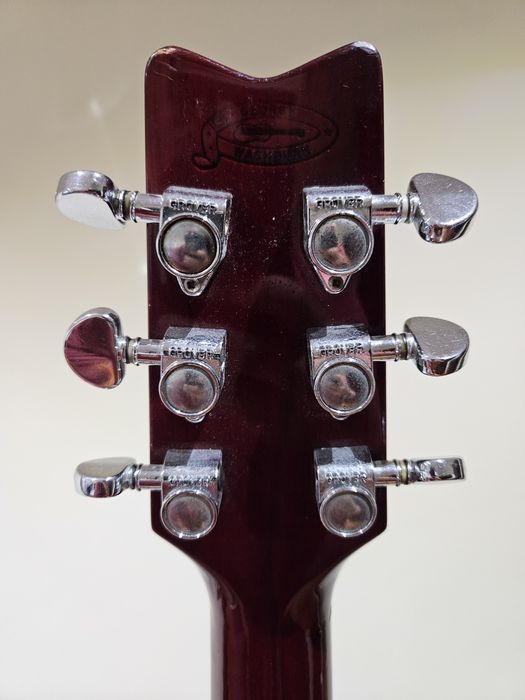 Guitarra Acustica Wasburn D-10