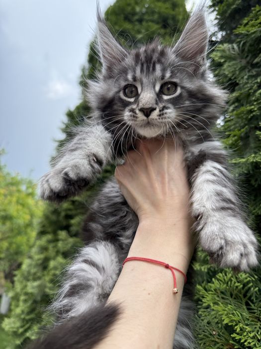 Дуже гарний мармуровий хлопчик
