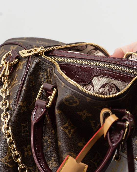 Сумка Louis Vuitton Speedy 30 бургунді