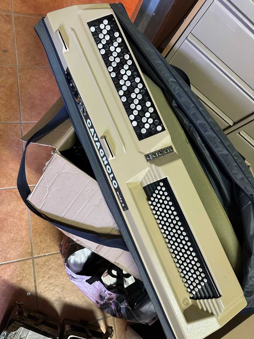 Vendo orgaon Cavagnolo