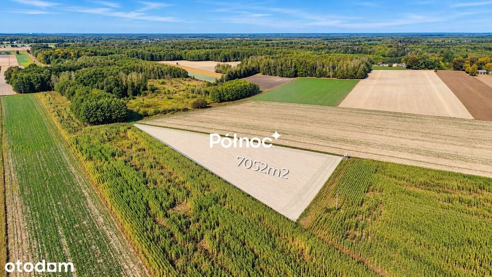 Działka z warunkami zabudowy - Kościeniewicze, pow. 7052 m²