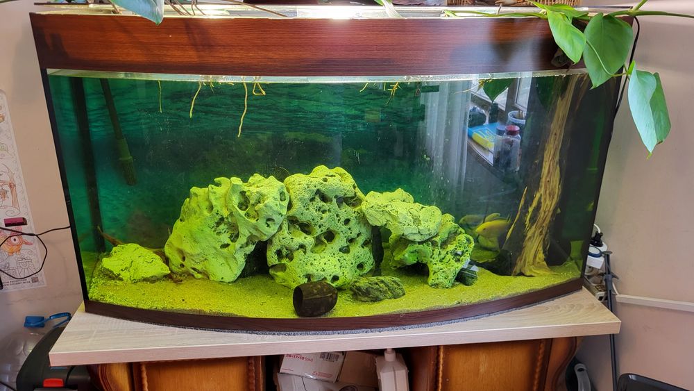 Панорамний акваріум 400 літрів. Самовивіз.