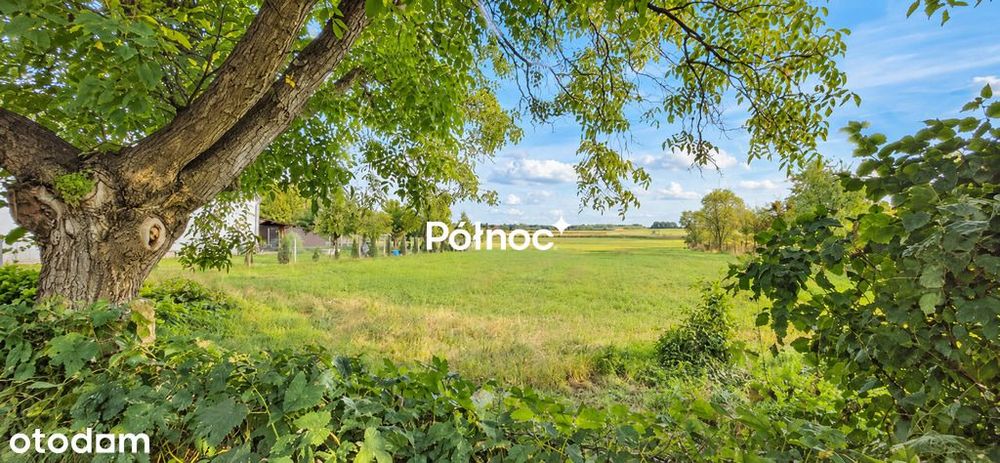 Zdjęcie 3
