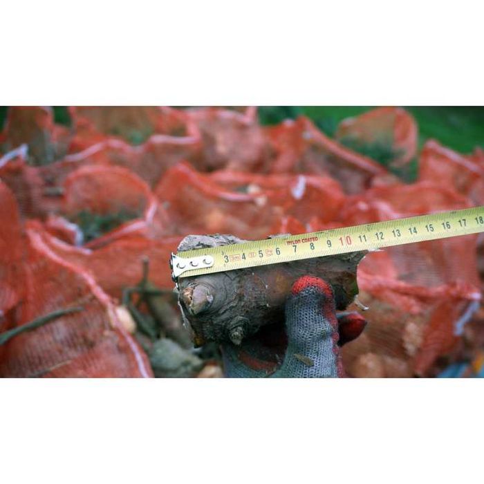 Rozdrabniacz do drzewa/ Rębak R-60 Wysyłka na terenie całego Kraju