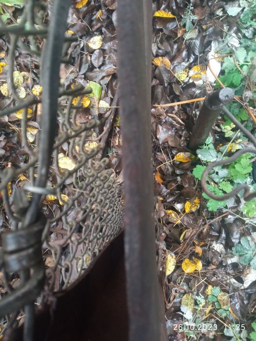 Продам лист или целиком или уже по кускам