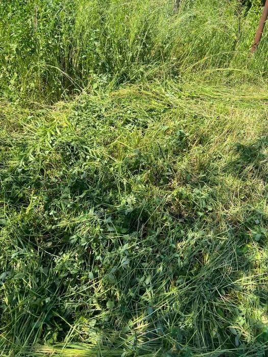 Дача. Кооператив Фрунзенець