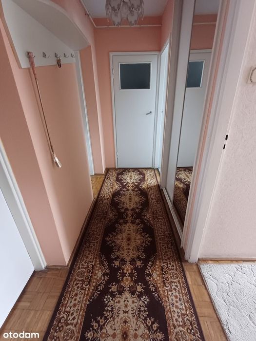 Zdjęcie 8