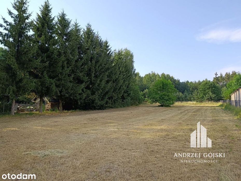 Piękna działka w otoczeniu zieleni / 4262 m2 / MPZP