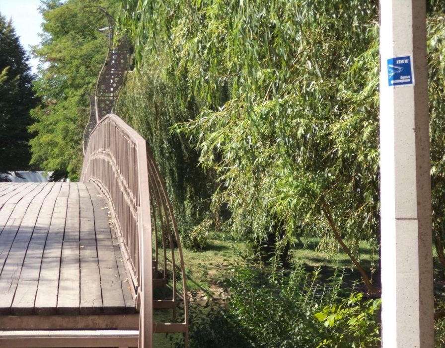 Фотоапарат мильниця Sony