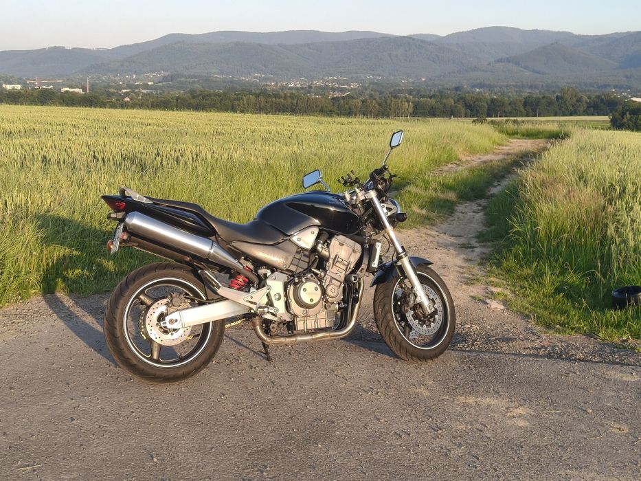 Hornet 900 Stinky