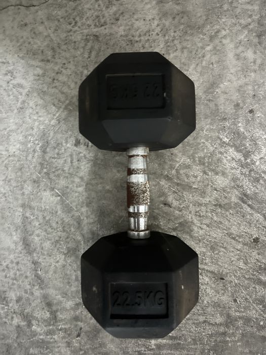 Halter 22,5 kg hexagonal
