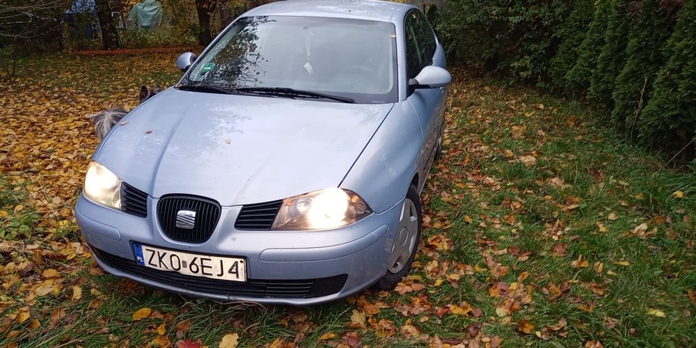 Seat Ibiza