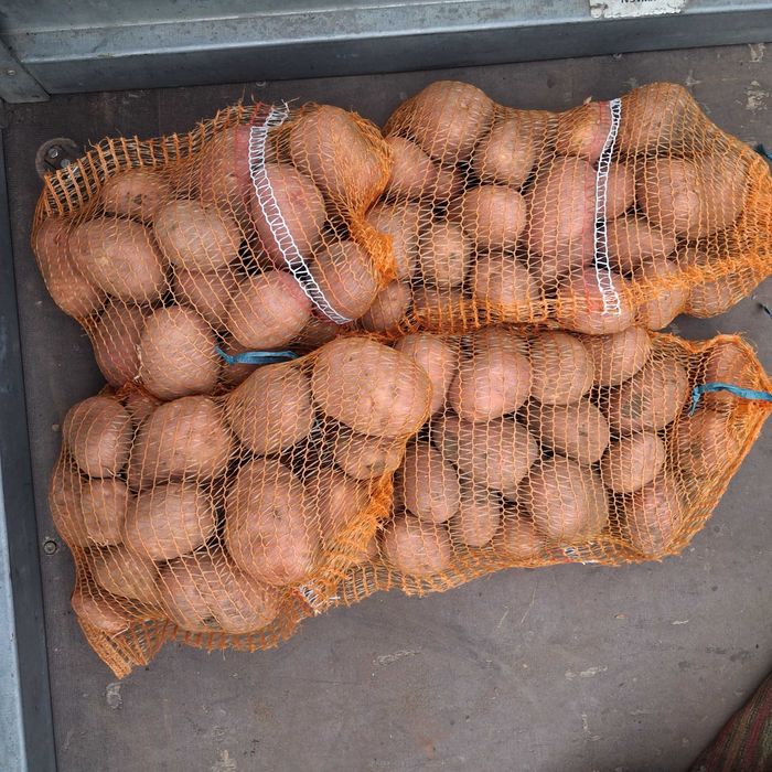 Ziemniaki  bellaros 15kg  20zł