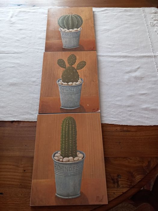 Quadros com imagens de cactos (3)