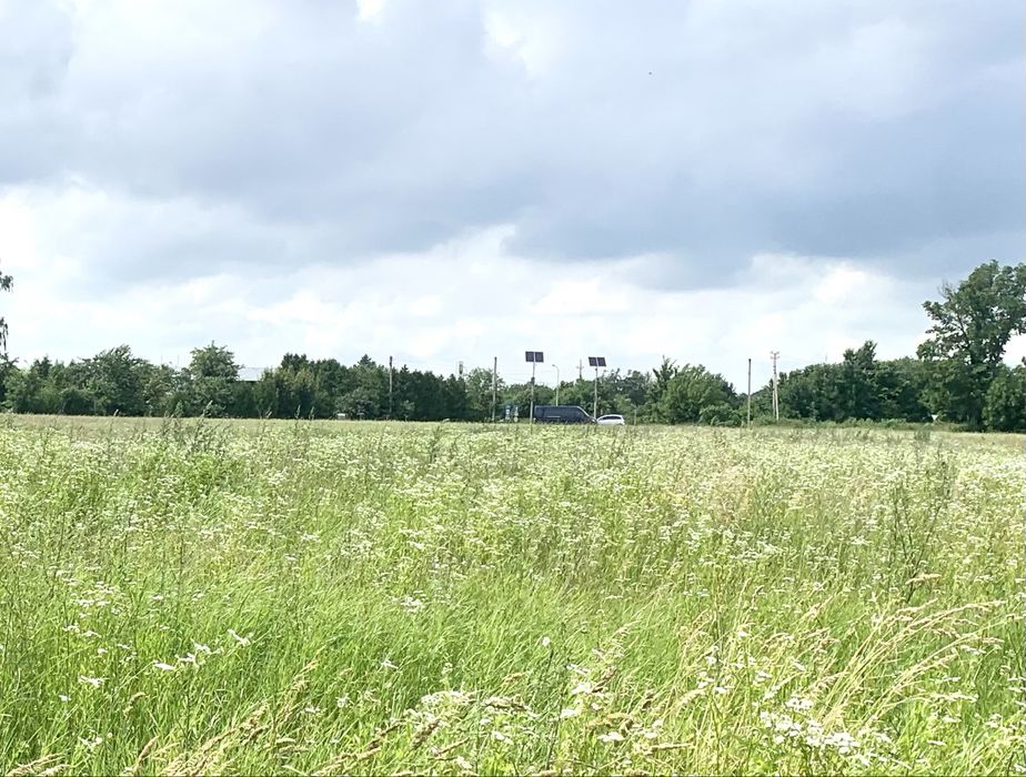 * Продаж земельної ділянки в с. Грушвиця Друга