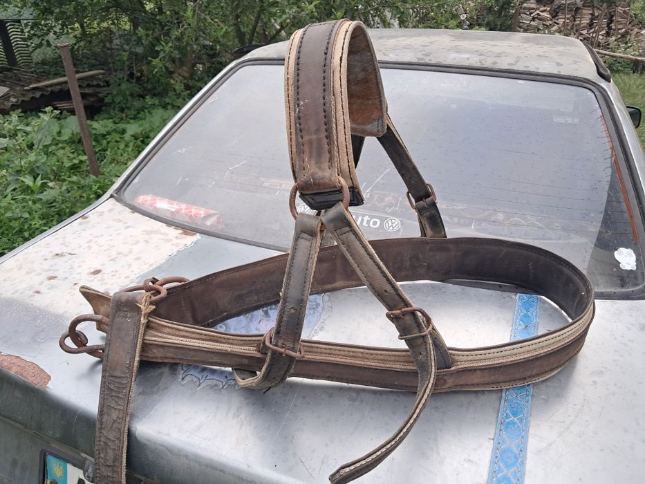 Продам шлею в доброму стані