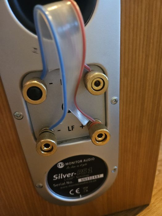 Monitor audio silver rs1