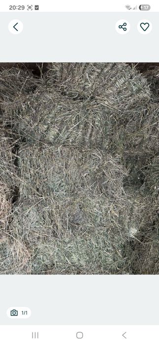 Тюки.   люцерна.