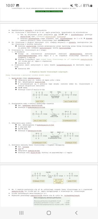 Skrypt biochemia