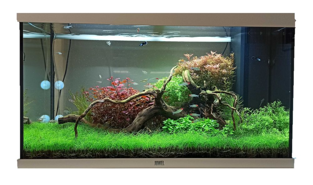 Akwarium 80x35x40cm 112L, lampa Chihiros A II 801 +filtr +co2 nowe ...