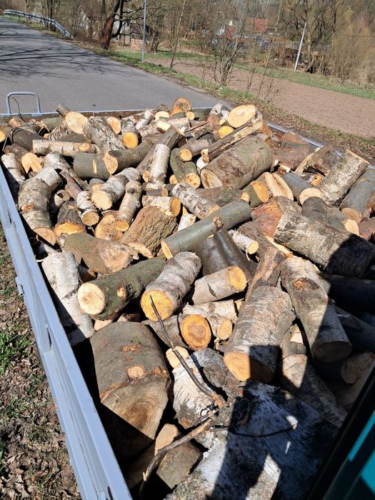 Drewno Buk Jesion Brzoza Świerk Sosna