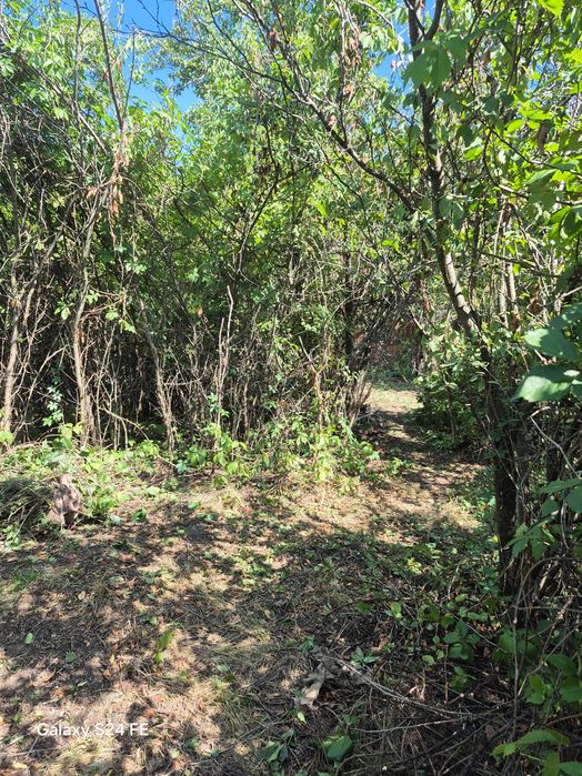 Продам земельну ділянку зі старим будинком