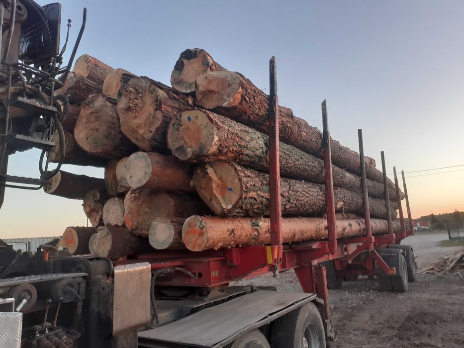 Sosna tartaczna transport