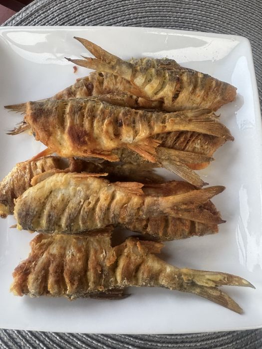 Letniskowy domek do wynajęcia na rok 2026