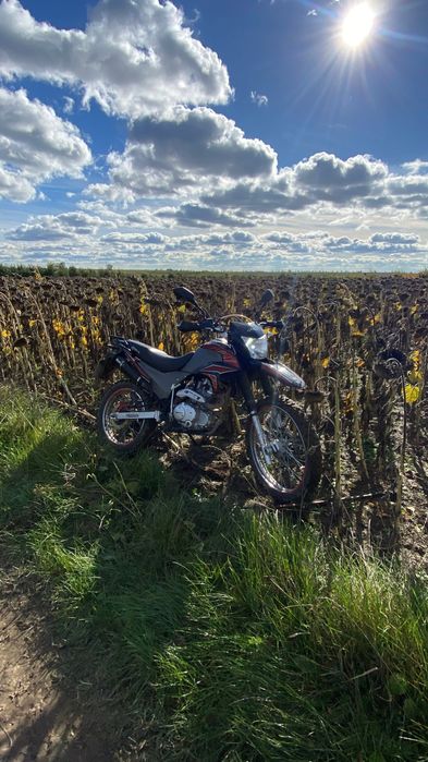 Продам два мотоцикли не дорого