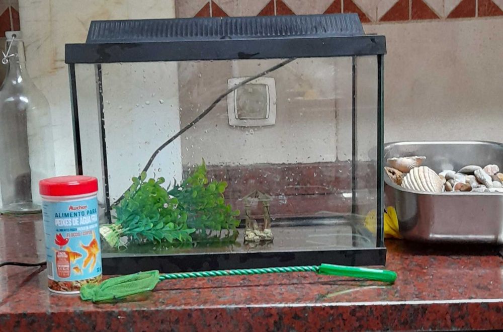 Aquário c/ acessórios e luz