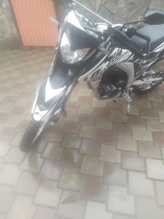 Продам LONCIN.Лося.