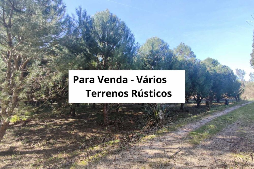 Vendo Terrenos - Vários