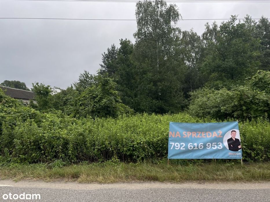 Działki budowlane w Kwilnie – spokój i natura - Widok 2