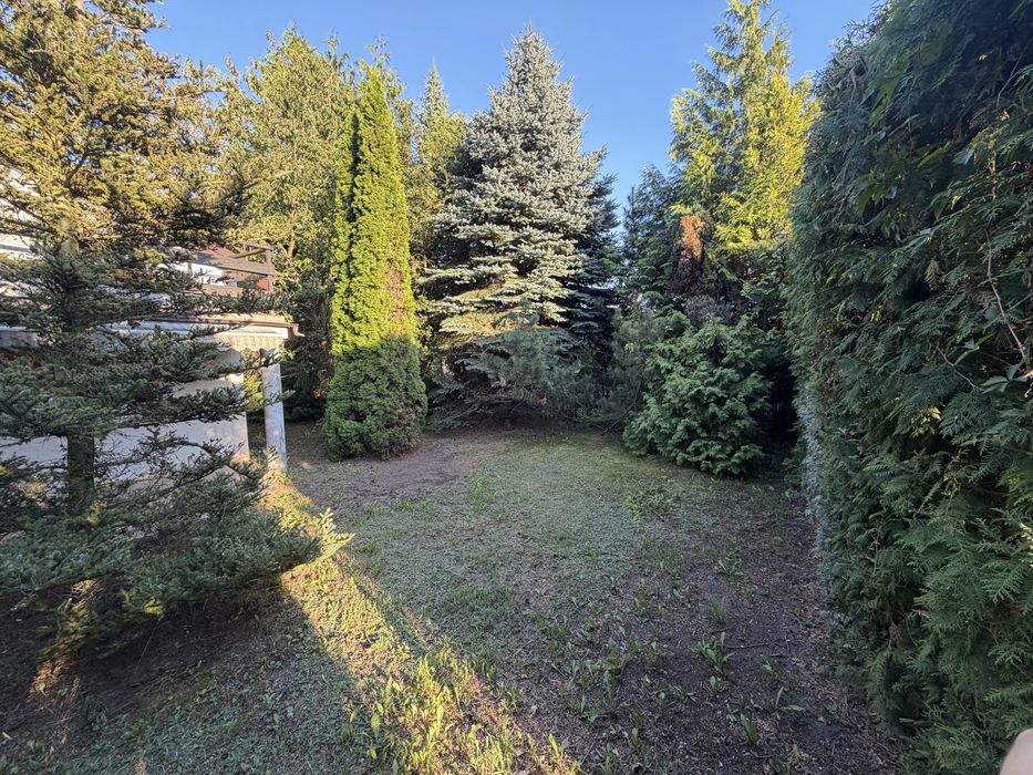 Działka ROD Karolin - Widok 2