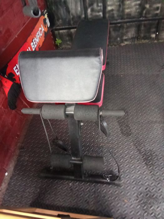 Gym Bench442587510462883843