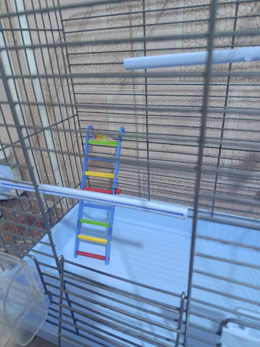 Большая клетка для попугая