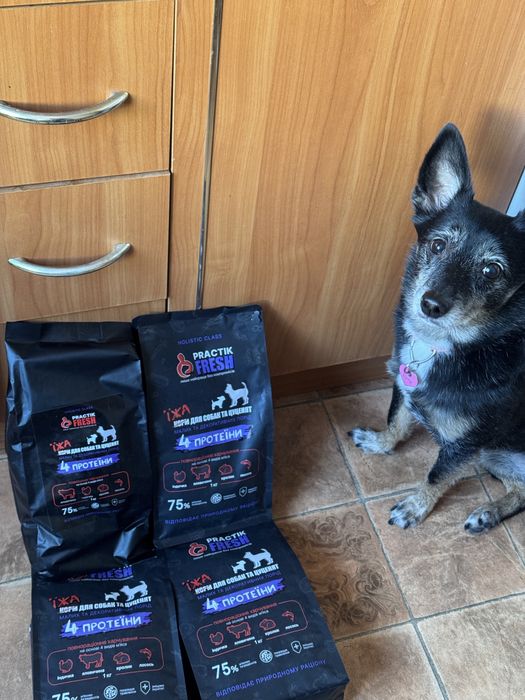 Собачий корм холістік practik fresh